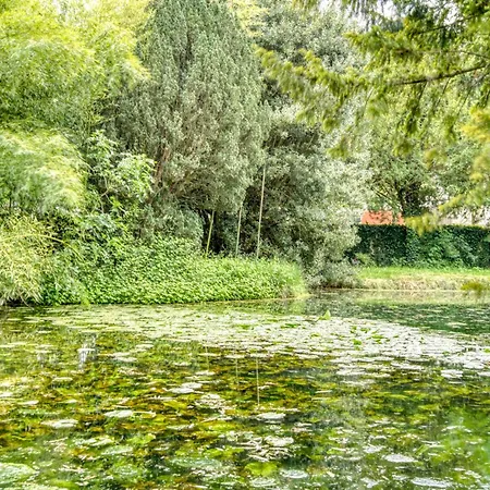 Tesoro Climatisee Avec Piscine Hammam Et Jardin Avec Piscine Saint-Martial-sur-Ne